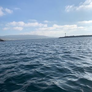 Meet your Posher, Livz